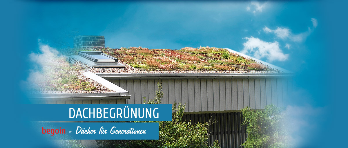 Dachbegrünung