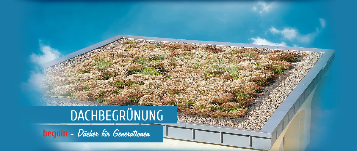 Dachbegrünung